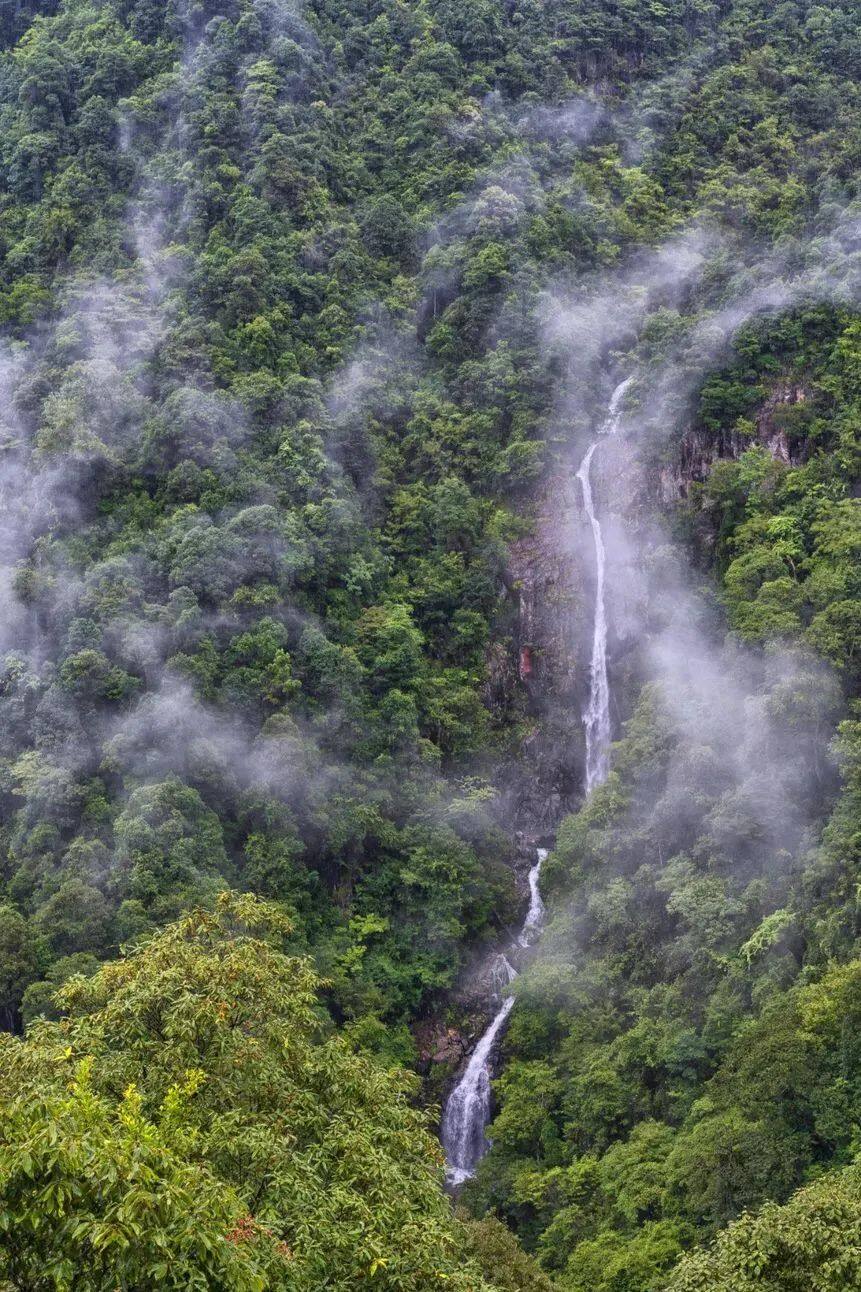 三百山-安遠三百山景區-三百山官方網站-景區新聞