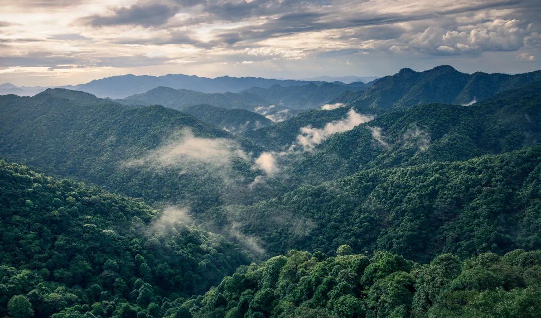 三百山山川.jpg