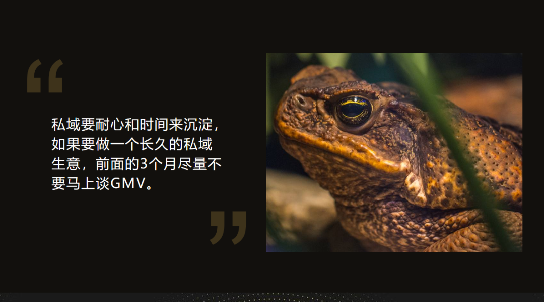 如何组建私域团队实现高效增长?