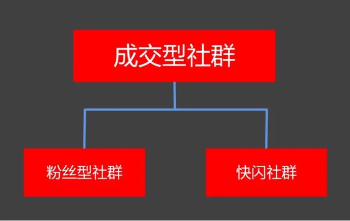 3大类型社群运营玩法全攻略:高复购粉丝社群运营攻略
