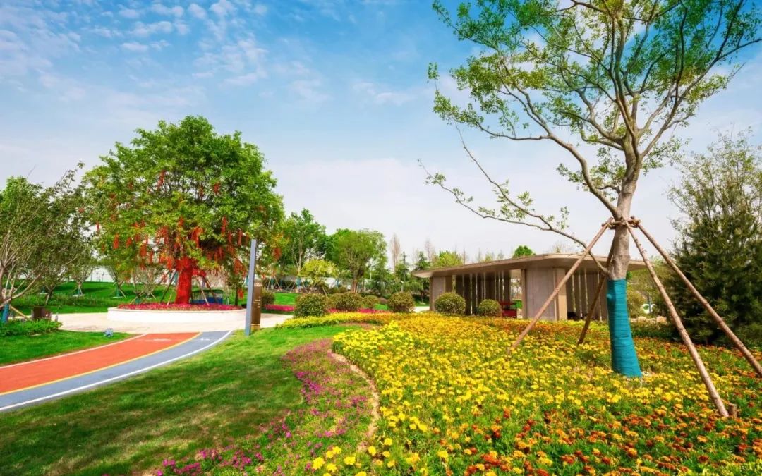 万城·春暖花开杯 2020年 罗庄区首届花境大赛