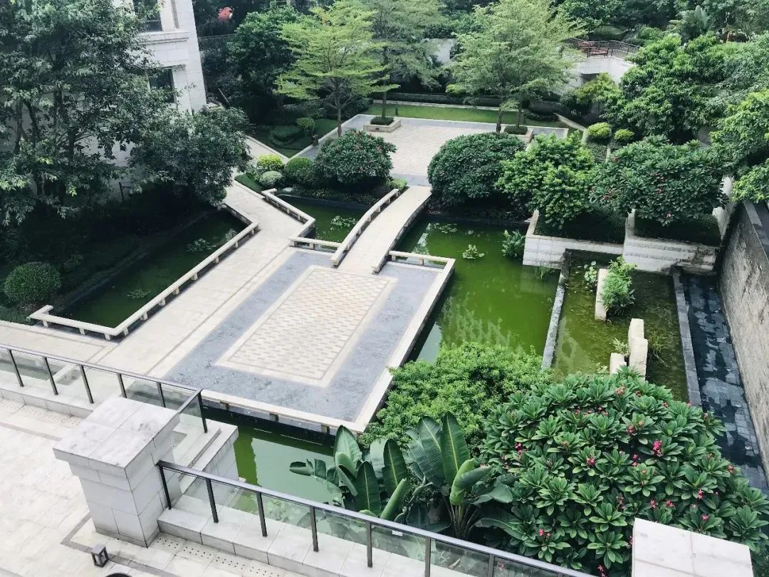 蓝莓评测 | 2020-2021最佳高端养老机构(广州、深圳)-蓝莓评测