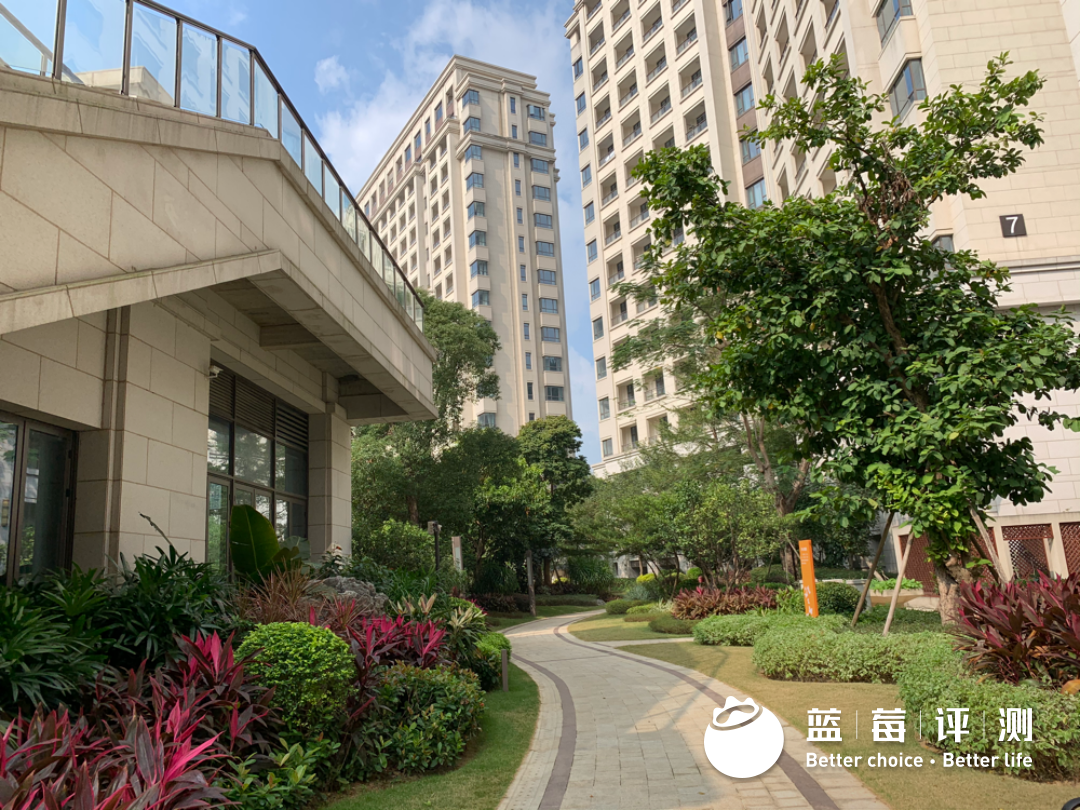 蓝莓评测 | 2020-2021最佳高端养老机构(广州、深圳)-蓝莓评测