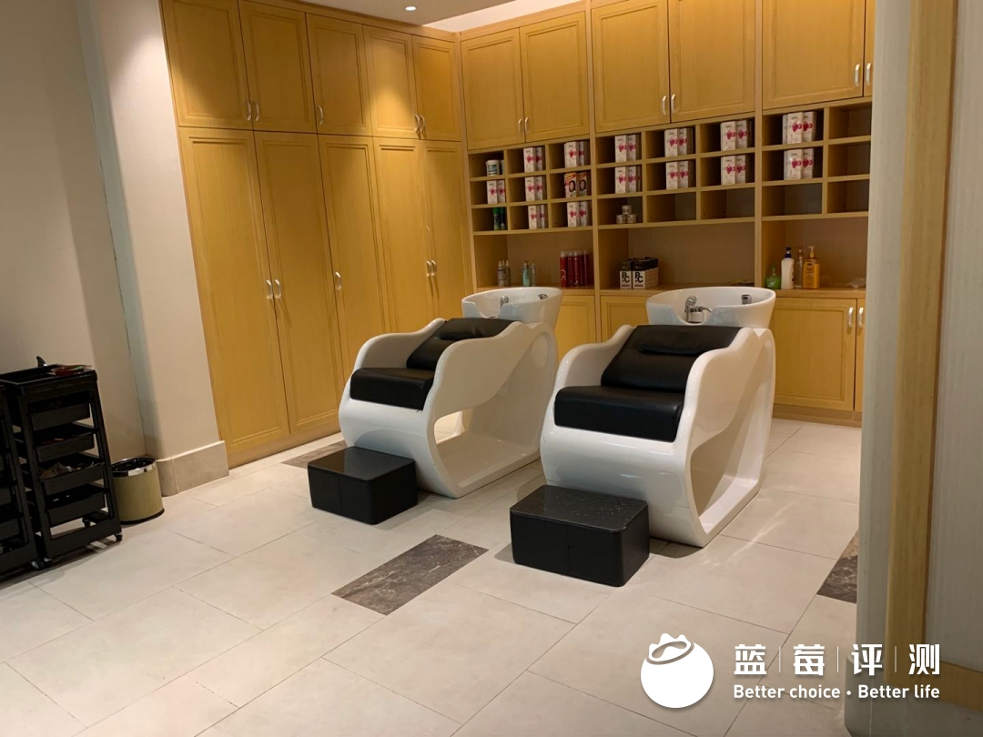 蓝莓评测 | 2020-2021最佳高端养老机构(广州、深圳)-蓝莓评测