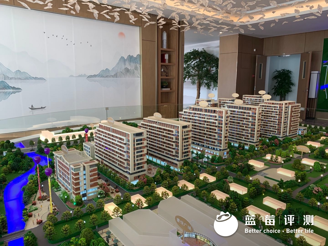 蓝莓评测 | 2020-2021最佳高端养老机构(广州、深圳)-蓝莓评测