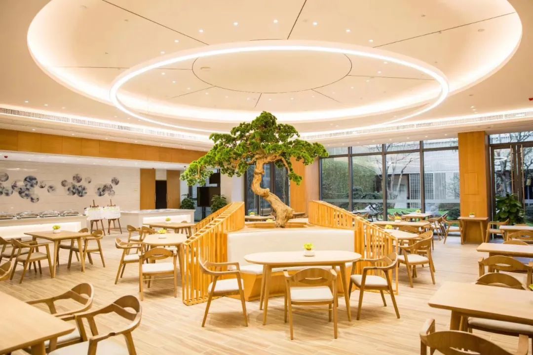 蓝莓评测 | 2020-2021最佳高端养老机构(广州、深圳)-蓝莓评测