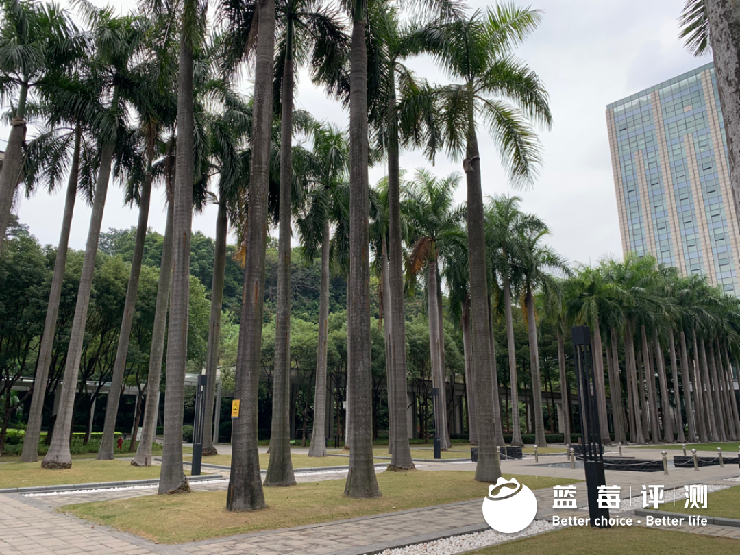 蓝莓评测 | 2020-2021最佳高端养老机构(广州、深圳)-蓝莓评测