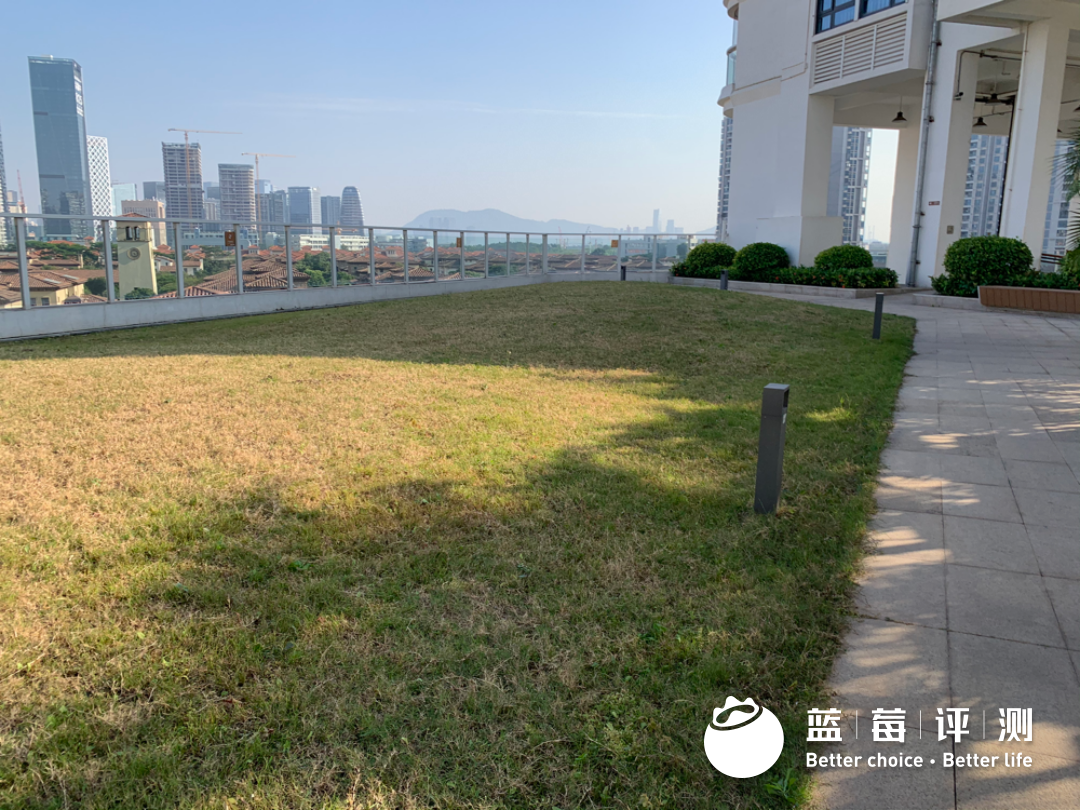 蓝莓评测 | 2020-2021最佳高端养老机构(广州、深圳)-蓝莓评测