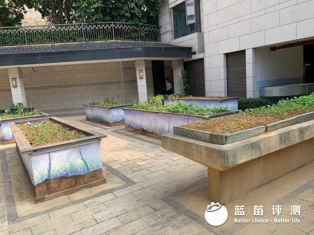 蓝莓评测 | 2020-2021最佳高端养老机构(广州、深圳)-蓝莓评测