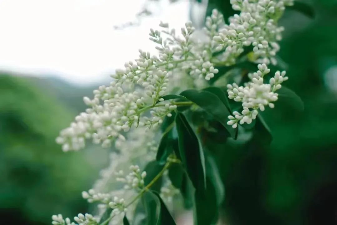 12aa8ff7f1df548c239405a4a70f3d0.jpg