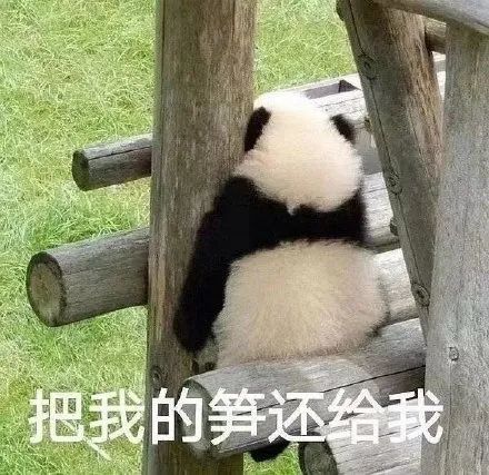 遇到厦门可爱婊,在一起没两天就要给我戴个绿色的帽帽14 遇到厦门可爱婊,在一起没两天就要给我戴个绿色的帽帽14